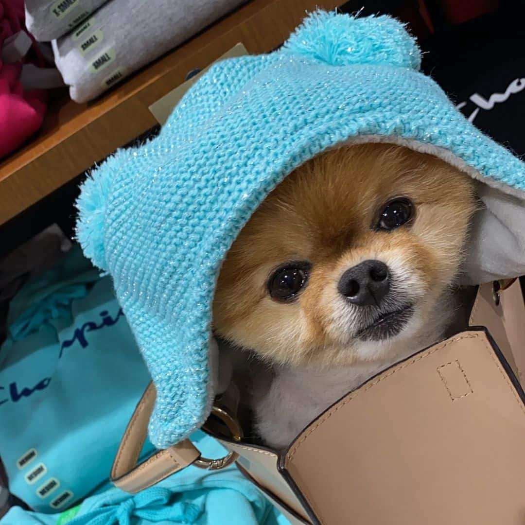 Instagram preview