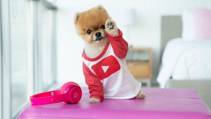 Jiffpom YouTube
